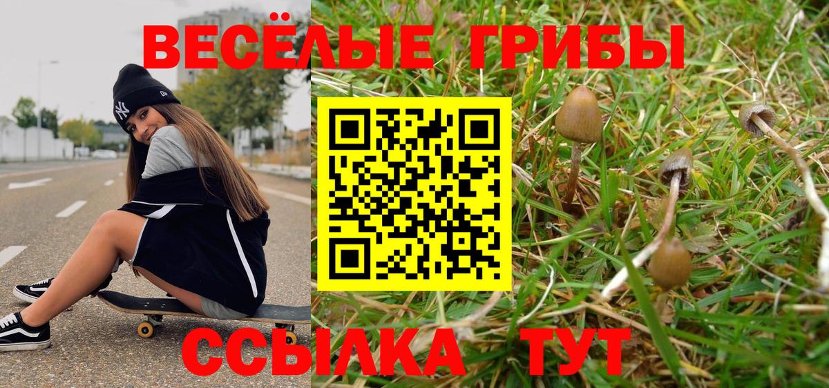 Галлюциногенные грибы Psilocybine cubensis  Вход с VPN  Галлюциногенные грибы GOLDEN TEACHER  Якутск 