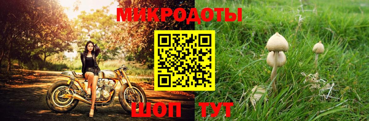 Галлюциногенные грибы MAGIC MUSHROOMS Якутск